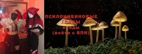 мескалин Баксан